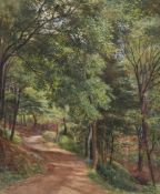 William Henry Millais (British 1828-1899), A woodland pathway