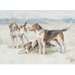 Arthur Wardle (British 1860-1940)Welsh Hounds, from the packs of Lieutenant Buckley and The Hon. H.