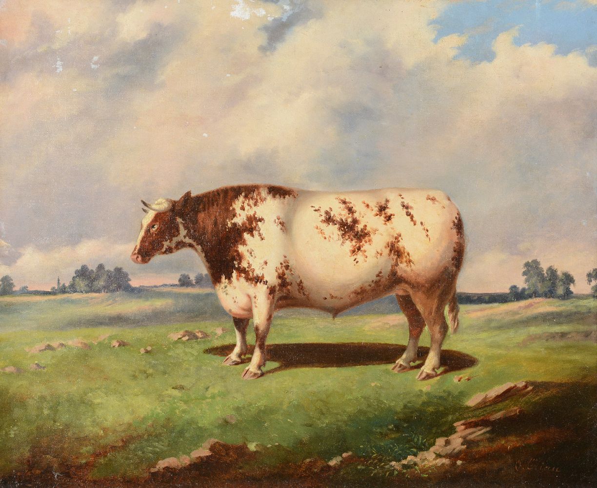 British School (20th century)Bull in a landscape