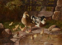 λ Friedrich Albin Koko-Micoletsky (Austrian 1889-1981)Two ducks and their chicks by the water's edge