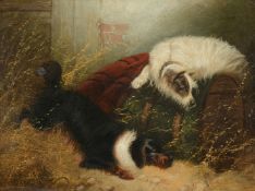 Attributed to George Armfield (British 1810-1893)Terriers ratting