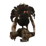 A preserved black grouse, Tetrao tetrix, dated 1959, modelled on a naturalistic wood mount with