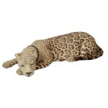 ϒ A preserved leopard, Panthera pardus, late 19th/early 20th century, modelled recumbent