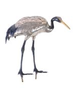 A Japanese Figure of a Manchurian Crane