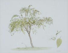 λ Graham Rust (British b. 1942)Tree studies