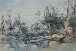 John Middleton (British 1827-1856) The Blown Wood