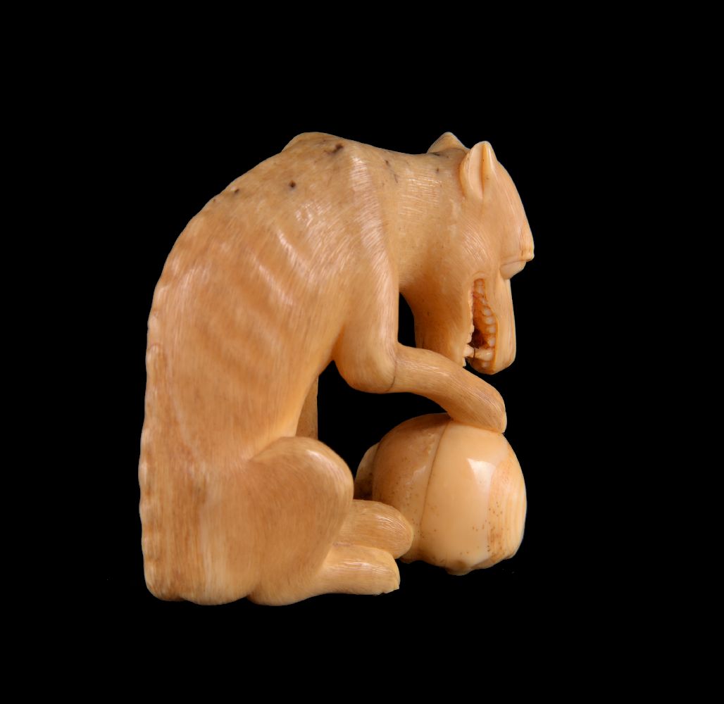 ϒ A Japanese Walrus Ivory Okimono of a Wolf - Image 2 of 3