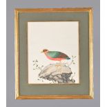 A pair of Chinese export watercolours of birds