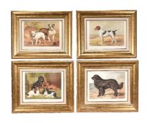 A set of fourteen chromolithographs from Cassell's Illustrated Book of the Dog