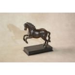 An Italian bronze model of a rearing horse