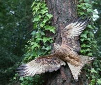 Simon Griffiths, Red Kite