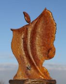 Michael McManus, Burr Elm Angel