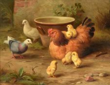 Edgar Hunt (British 1876-1953)Chickens and their chicks in a farmyard