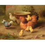 Edgar Hunt (British 1876-1953)Chickens and their chicks in a farmyard