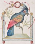 Continental School (19th/20th century)A pair of parrots