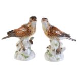 A pair of Meissen models of mistle thrushes