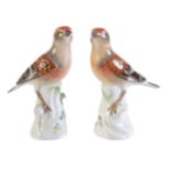 A pair of Meissen porcelain models of linnets