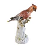 A Meissen model of a Bohemian waxwing