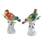 A pair of Meissen models of parrots