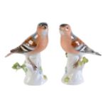 A pair of Meissen models of bullfinches