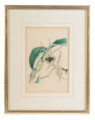 A set of six various botanical prints