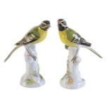 A pair of Meissen models of hooded orioles