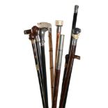 ϒ A collection of ten various walking sticks