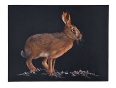 Rosemary Trigwell, Hare