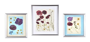 Mary Hare - Children's Art 2, Untitled (Pressed flowers)