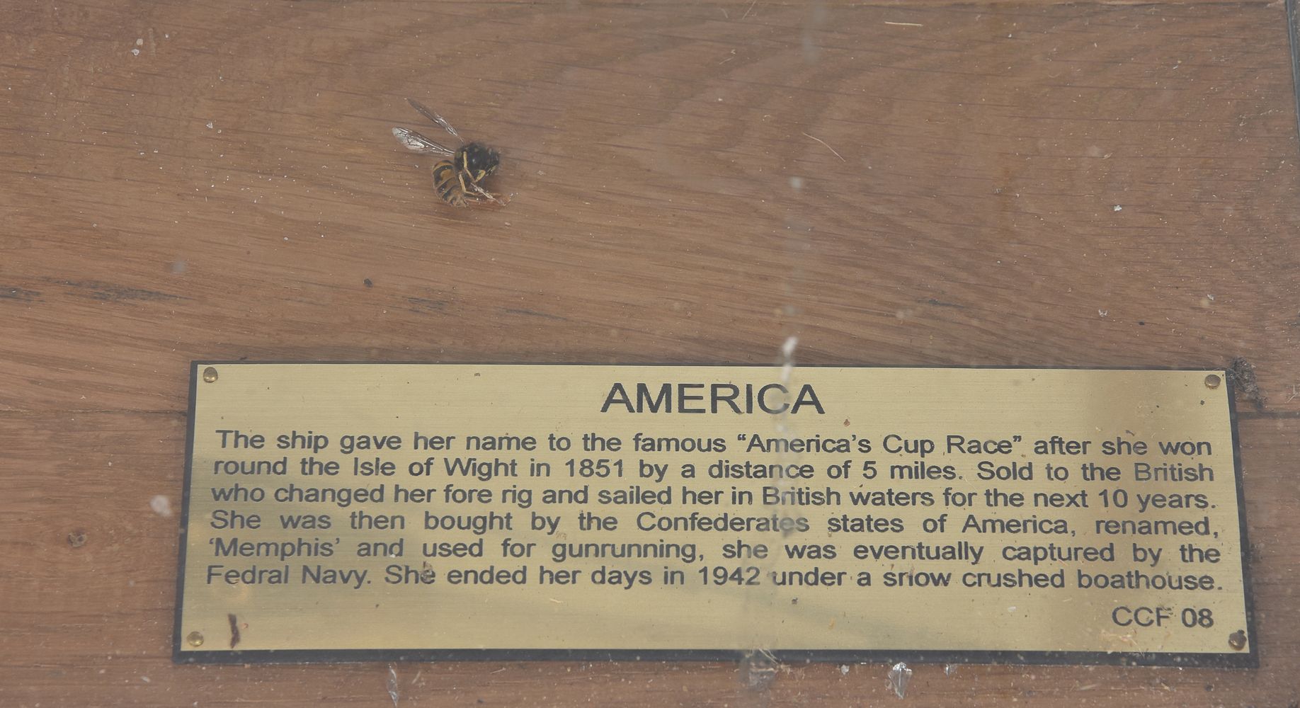 A cased model of the racing yacht ‘America’ - Image 4 of 4