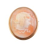 A late 19th century shell cameo