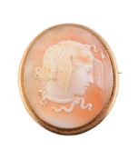 A late 19th century shell cameo