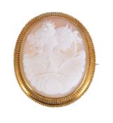 A shell cameo brooch