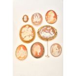 A group of eight 19th century oval shell cameo brooches and a plaque
