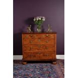 A William & Mary mulberry or field maple and marquetry chest of drawers, in the manner of Coxed & Wo