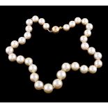 A South Sea cultured pearl and diamond necklace