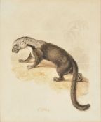 William Samuel Howitt (British c.1765-1822), Otter