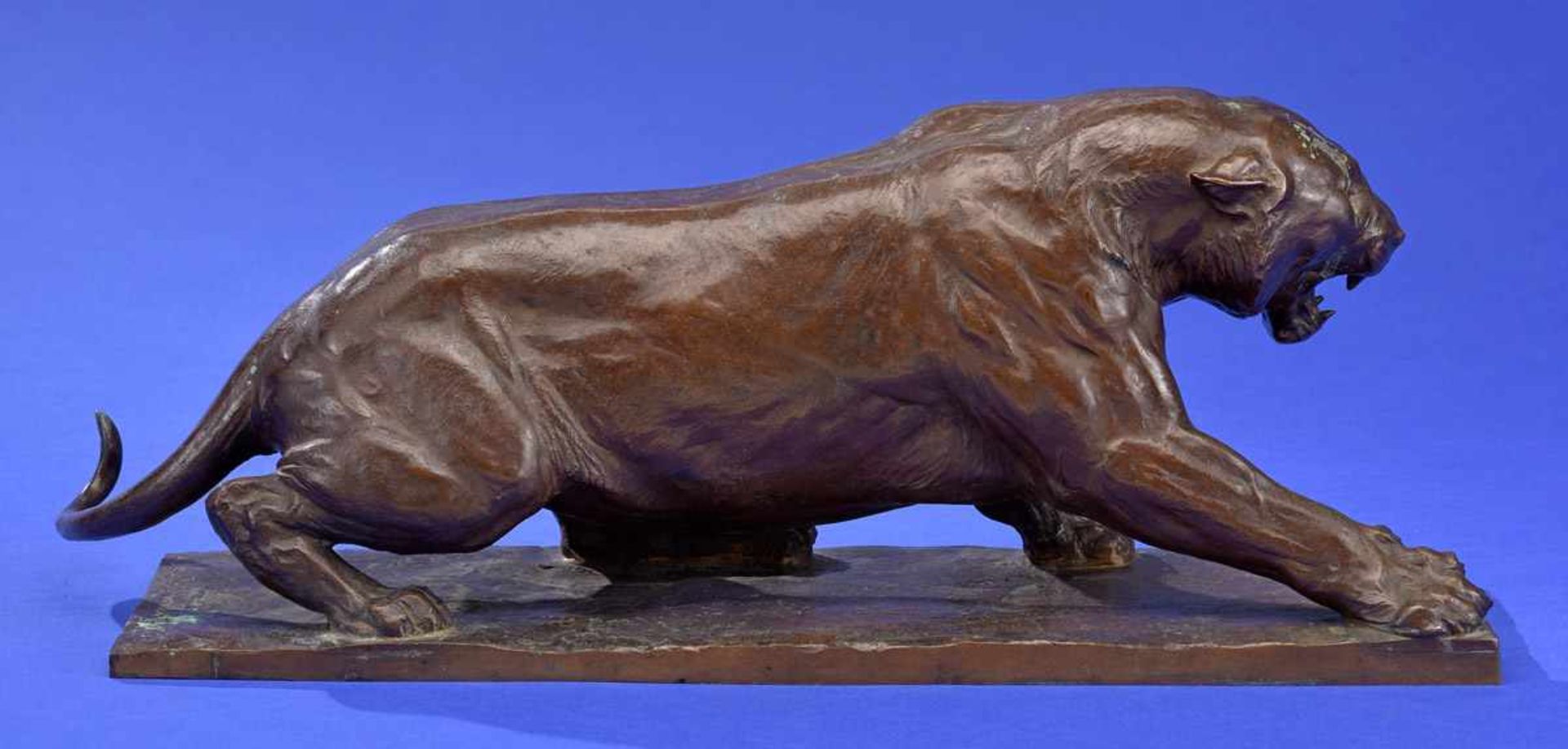 Pallenberg, Josef 1882 Köln - 1946 DüsseldorfFauchender Tiger.Bronze. Signiert. H 18 cm, L 48 cm. - Bild 2 aus 3