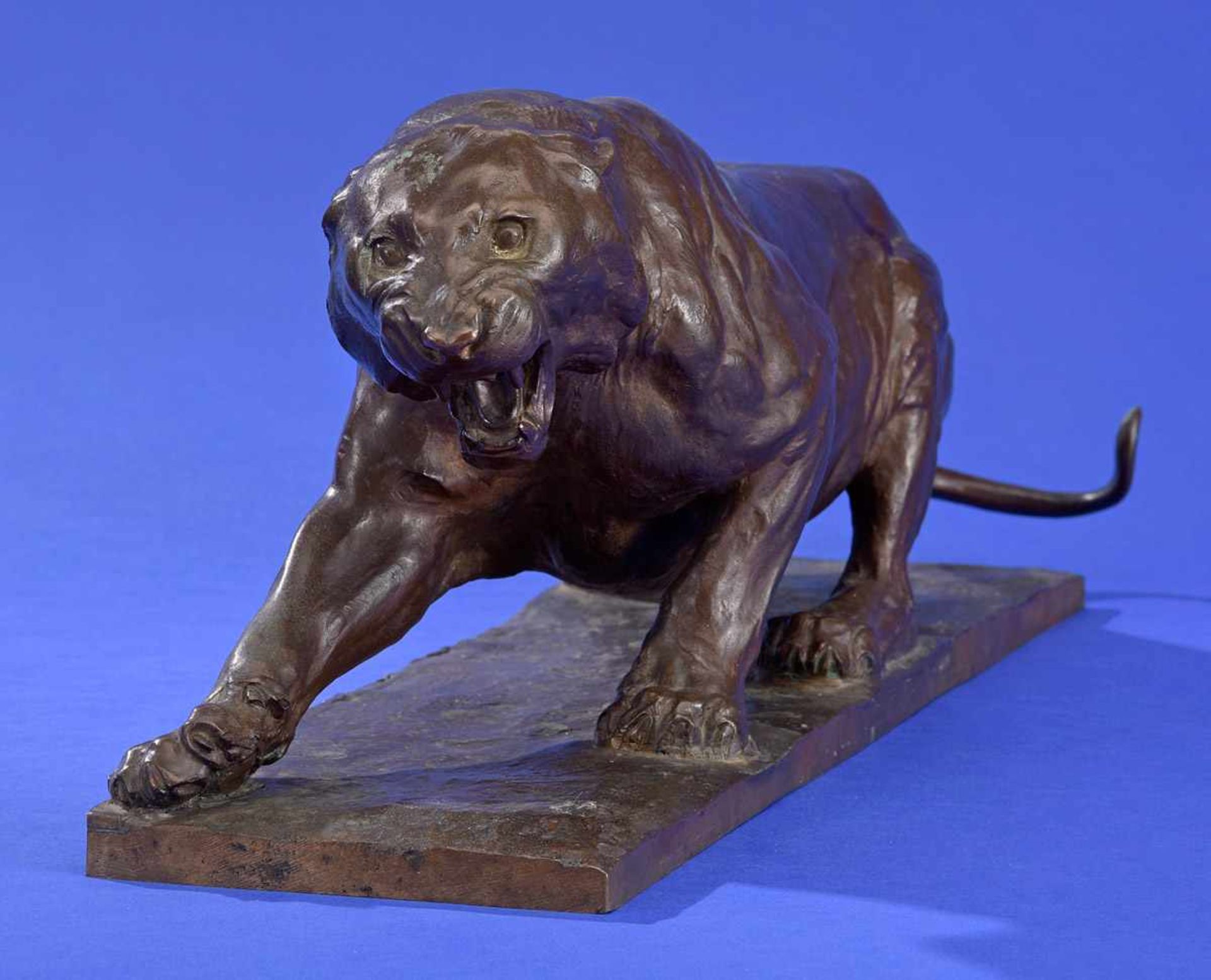 Pallenberg, Josef 1882 Köln - 1946 DüsseldorfFauchender Tiger.Bronze. Signiert. H 18 cm, L 48 cm. - Bild 3 aus 3