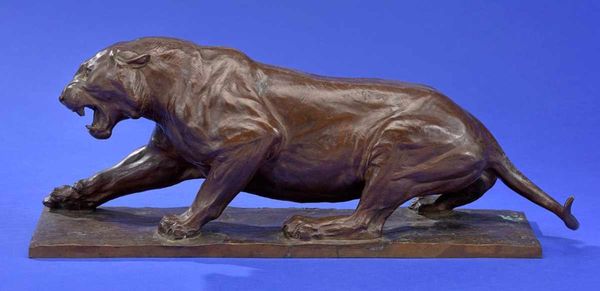 Pallenberg, Josef 1882 Köln - 1946 DüsseldorfFauchender Tiger.Bronze. Signiert. H 18 cm, L 48 cm.