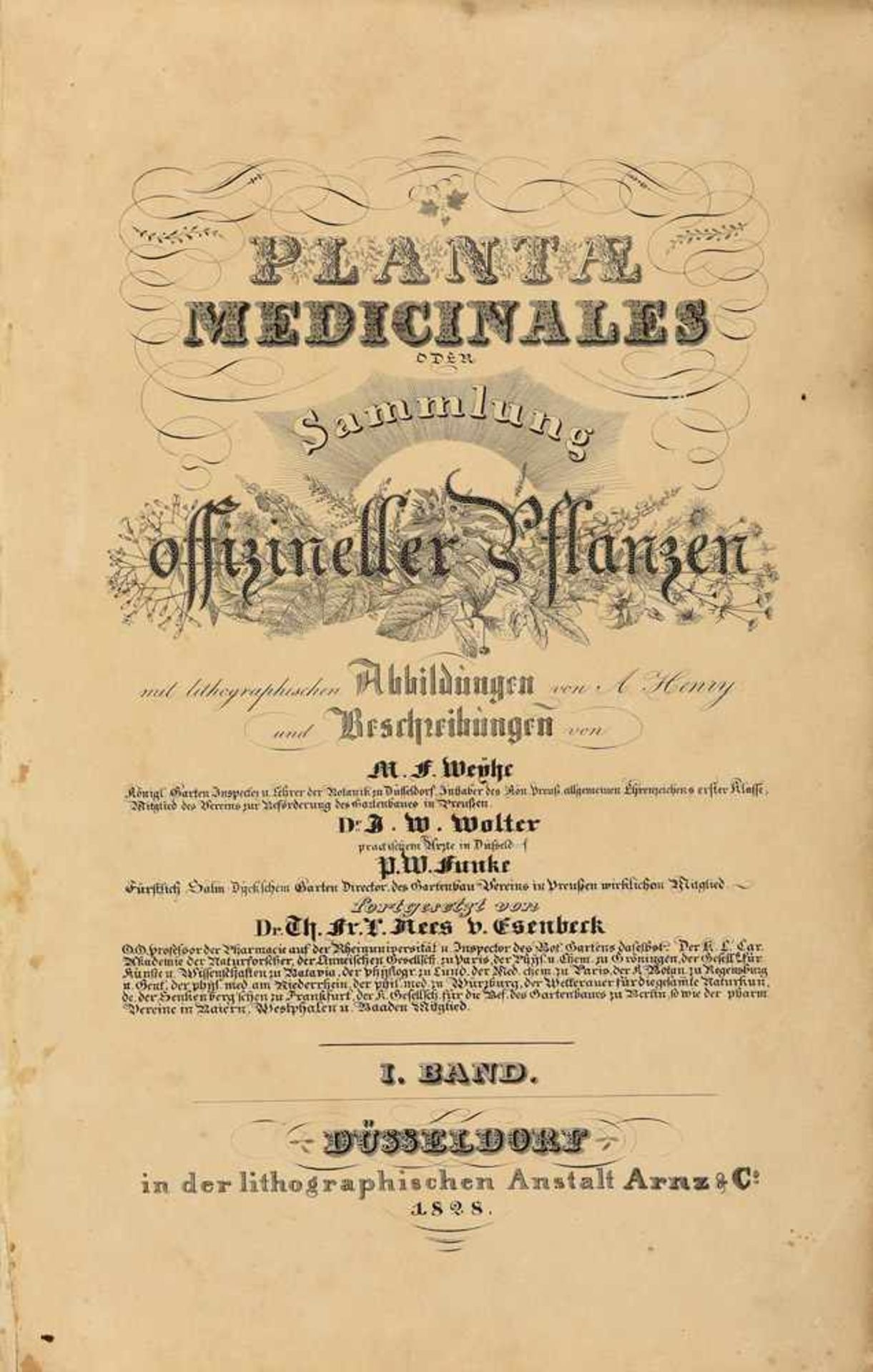 Plantae Officinalis oder Sammlung Officineller PflanzenNees von Esenbeck, Theodor Fr. Ludwig,