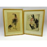 Japanese Meiji period drawing of a cockerel, pen,