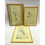 Japanese Meiji period drawing of a group of 4 various birds in pen, ink and colour, signed,