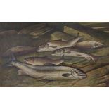 C Williamson (20th century): Still life of Fish on the River Bank,