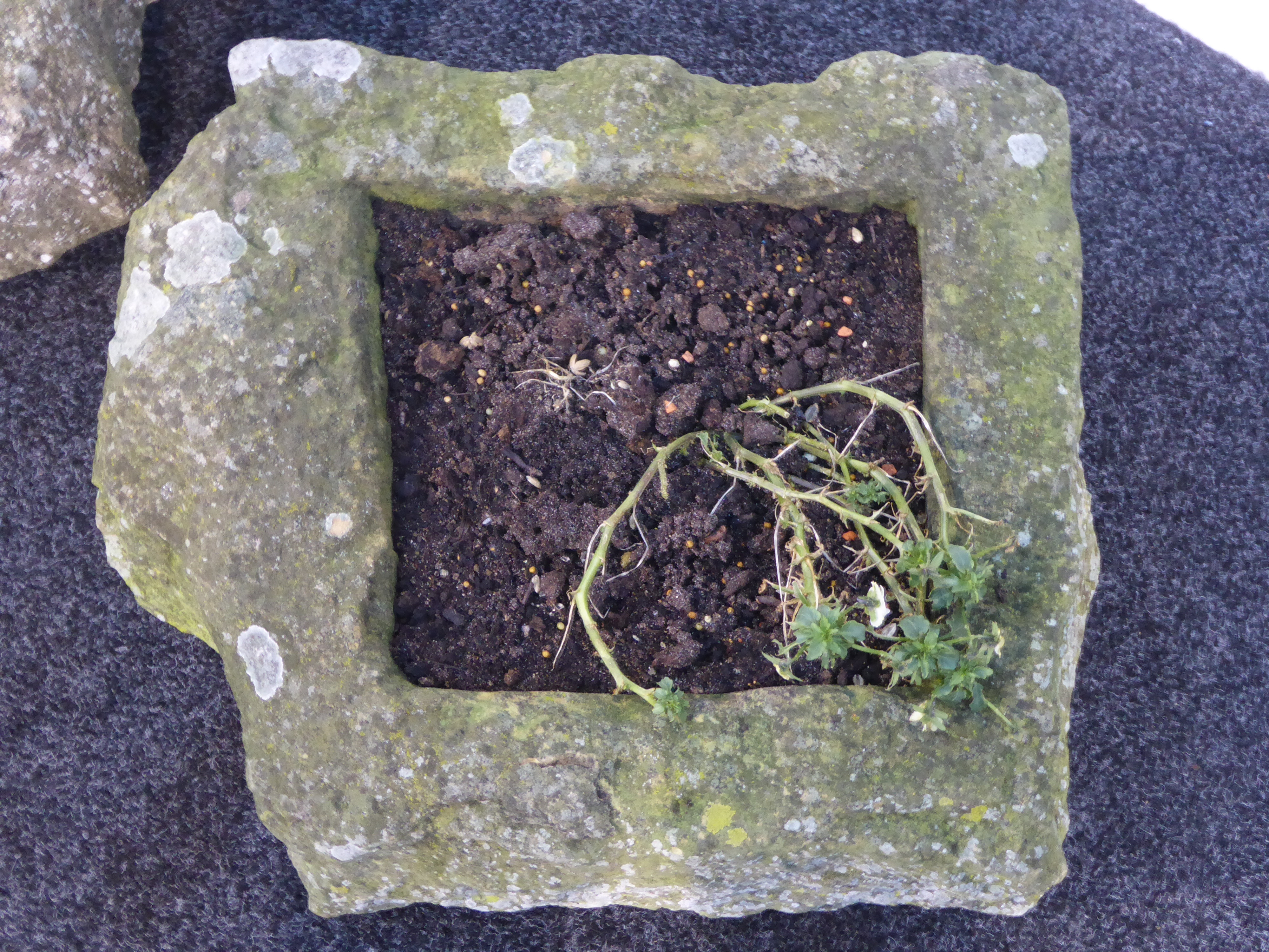 Square rough cut stone trough (38cm x 46cm), and a rectangular stone trough (28cm x 41cm), - Image 4 of 6