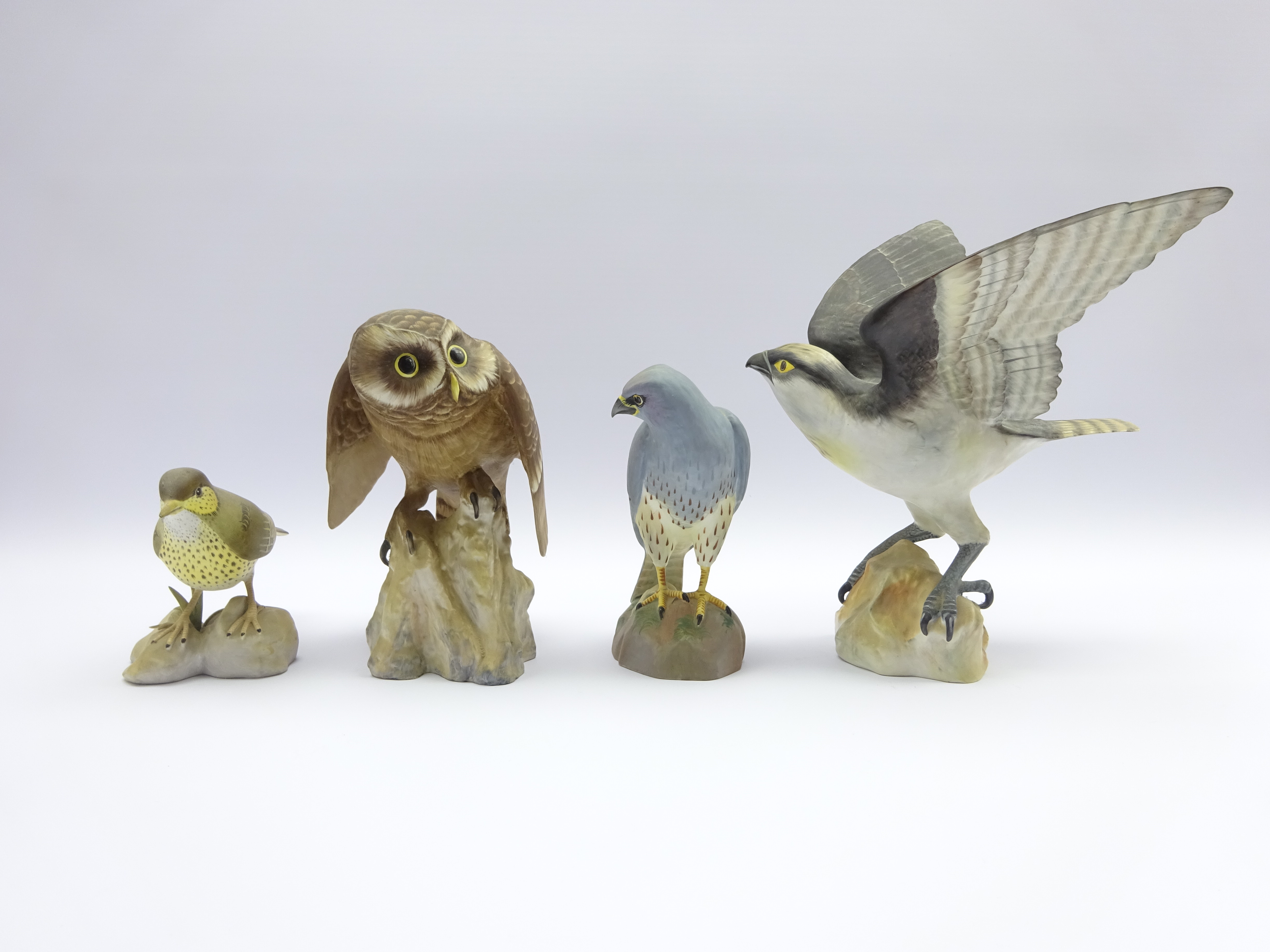 Four Spode birds comprising Little Owl, H22cm, Osprey,