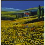 Digby Page (British 1945-): 'Fields of Gold' and 'Shadows over Red', two oils on board signed,