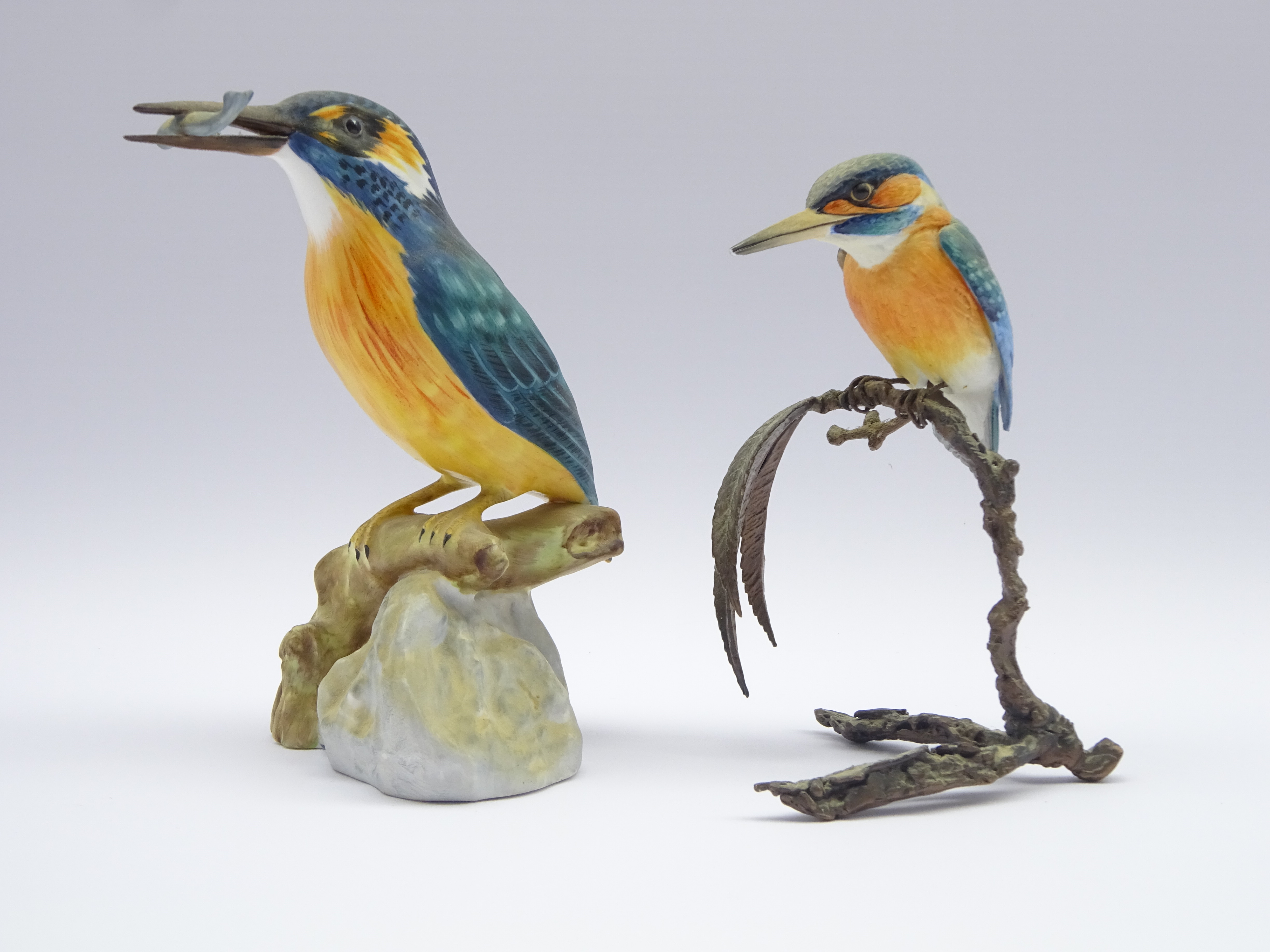 Albany Worcester model of a Kingfisher,