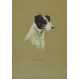 * Paulden (British 20th century): 'Dinah' - Portrait of a Jack Russsell,