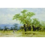 After David Shepherd (British 1931-2017): 'Amboseli', limited edition colour print No.